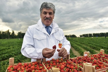 Ông chủ nông trang thách thức Tổng thống Putin trong bầu cử