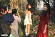 Lạc vào chốn thiền môn, đồi hoa xứ Huế