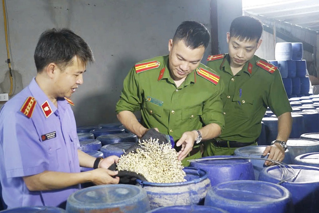 3.500 tấn giá đỗ ngâm hóa chất độc hại đã được bán đi đâu? - 1 3.500 tấn giá đỗ ngâm hóa chất độc hại đã được bán đi đâu? - 1