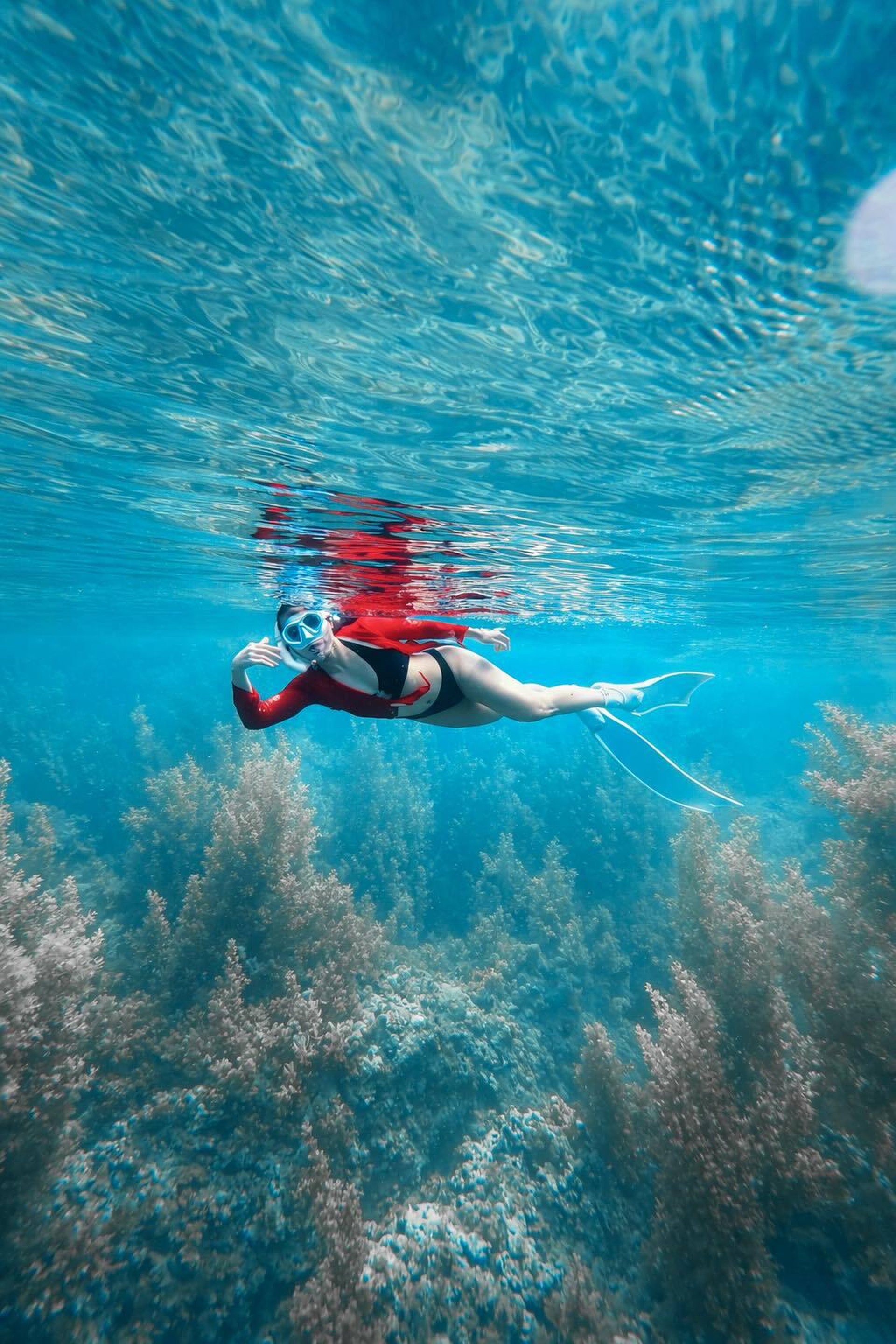 Không cần đi Maldives, khách đổ dồn về Phú Quý lặn biển vì đẹp siêu thực - 4
