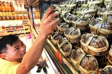 Triệu phú Trung Quốc chi hơn 4 tỷ đồng mua cua thả phóng sinh