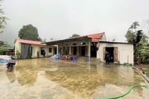 Con dâu phóng hỏa, đổ thuốc diệt cỏ xuống giếng nhà chồng bị khởi tố