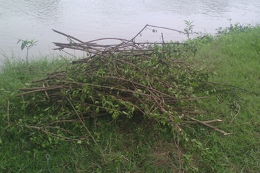 Cứu con chết đuối, mẹ cũng tử vong