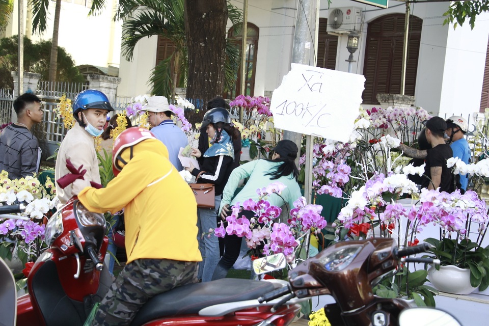 Thương lái mệt mỏi xả hàng, giá hoa tết nhiều nơi giảm 50-70% - 33 Thương lái mệt mỏi xả hàng, giá hoa tết nhiều nơi giảm 50-70% - 33