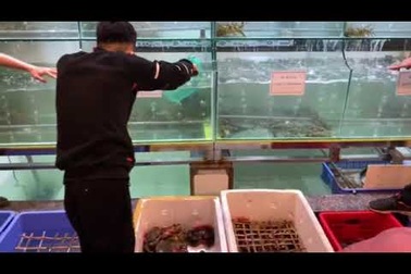 Các thực khách Hà Nội đến chọn mua hải sản tại cơ sở 728 Trương Định