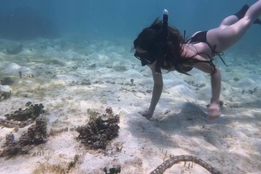 Người trẻ Việt hưởng ứng trào lưu lặn biển