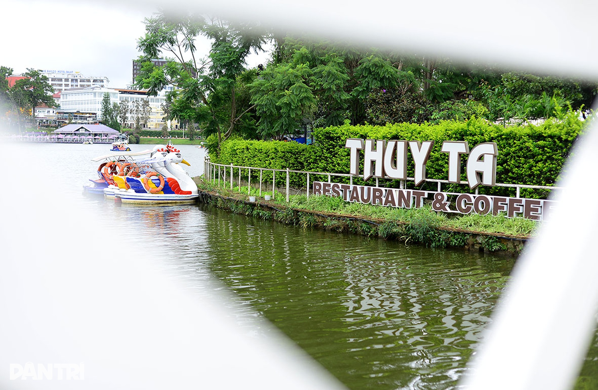Ngắm đảo Thủy Tạ sắp được đưa ra đấu giá ở Đà Lạt - 4 Ngắm đảo Thủy Tạ sắp được đưa ra đấu giá ở Đà Lạt - 4