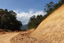 San ủi rừng đặc dụng để làm đường Trường Sơn Đông: Đắk Lắk "tuýt còi"