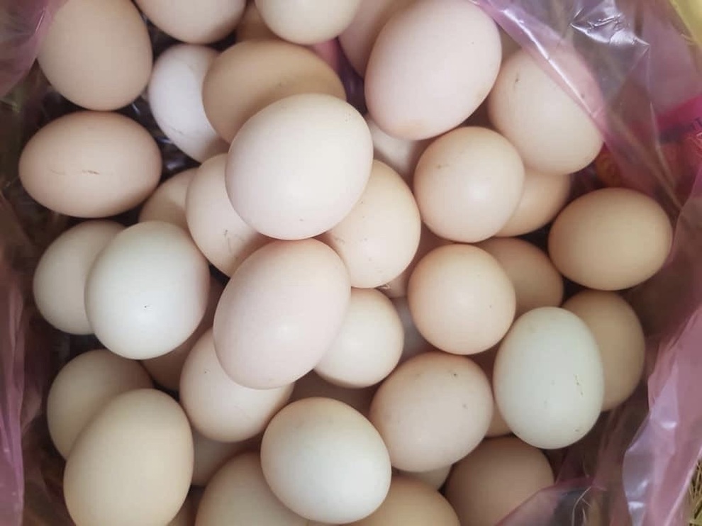 Trứng gà tăng giá gấp đôi vẫn cháy hàng - 1 Trứng gà tăng giá gấp đôi vẫn cháy hàng - 1