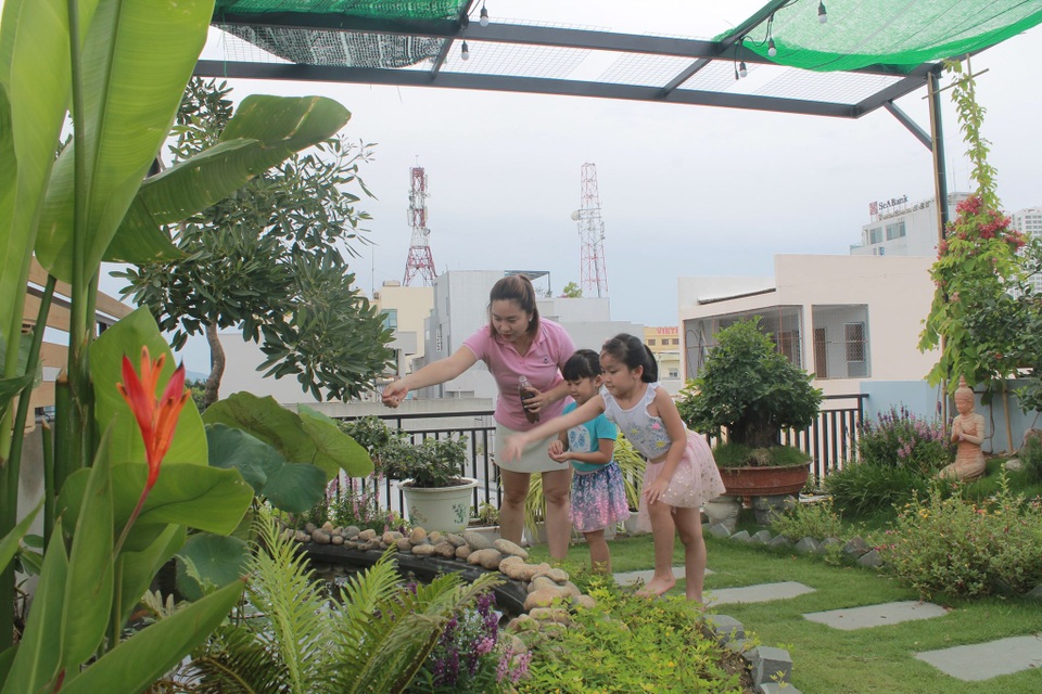 Ông bố 2 con ở Đà Nẵng “làm vườn, nuôi cá” đẹp mê trên sân thượng nhà phố - 11 Ông bố 2 con ở Đà Nẵng “làm vườn, nuôi cá” đẹp mê trên sân thượng nhà phố - 11