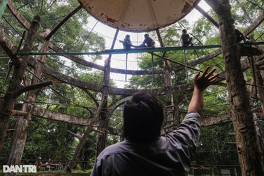 Thảo Cầm Viên Sài Gòn sụt lãi 40%, ghi nhận tiền thuê đất phải nộp 0 đồng