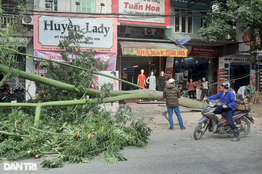 Thót tim cảnh cây xanh bật gốc đổ xuống đường, 2 cô gái suýt gặp nạn - 2 Thót tim cảnh cây xanh bật gốc đổ xuống đường, 2 cô gái suýt gặp nạn - 2