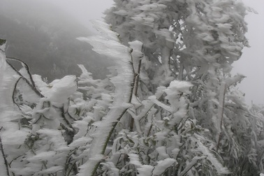 Hình ảnh băng tuyết kỳ thú trên đèo Ô Quý Hồ