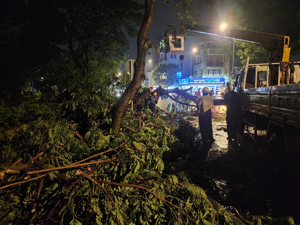 Cây xanh bật gốc đè sập nhà xe ở TPHCM - 2 Cây xanh bật gốc đè sập nhà xe ở TPHCM - 2
