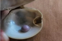 Đang ăn hải sản, người đàn ông nhai trúng viên ngọc trai màu tím