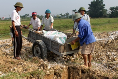 Bùng phát dịch lợn tai xanh