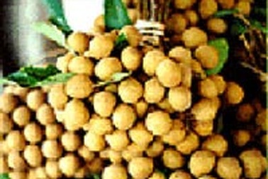 Nhãn Hưng Yên đăng ký thương hiệu