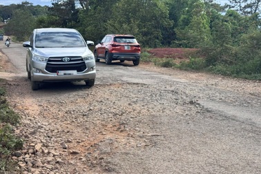 Gian lận, một doanh nghiệp bị cấm thầu 3 năm tại Đắk Nông