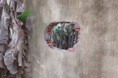 Gần 200 học viên cai nghiện trốn trại: Nhiều nhóm người vừa chạy vừa la hét