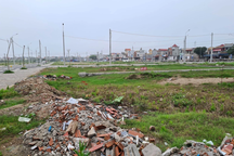 Nam Định sắp đấu giá hơn 200 lô đất, khởi điểm thấp nhất 850 triệu đồng