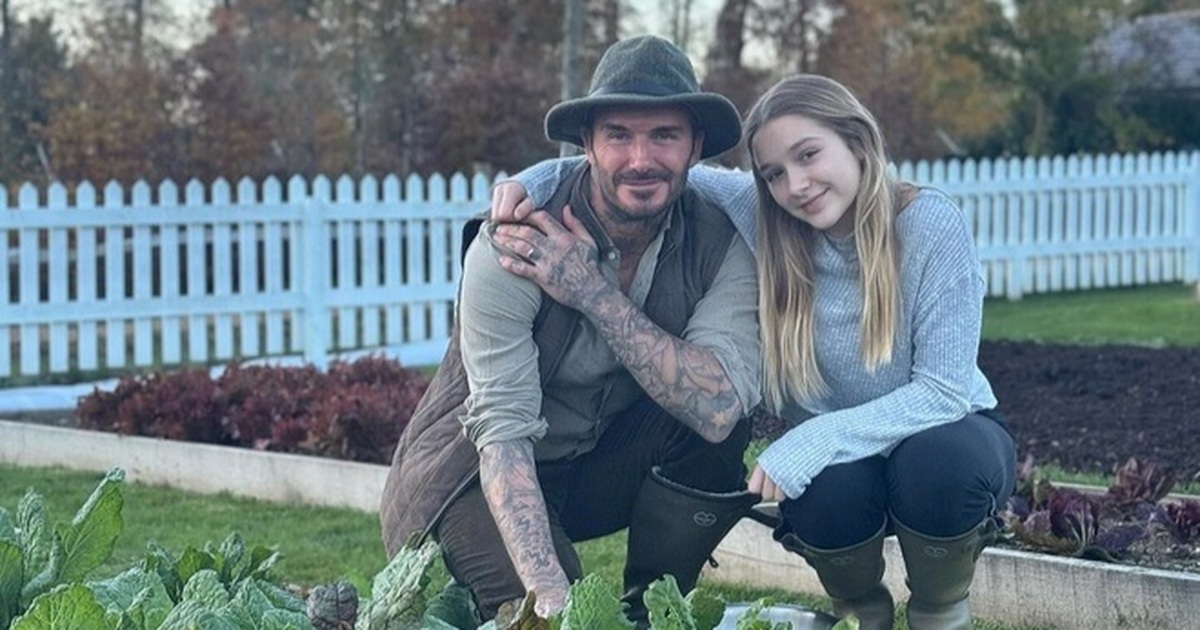 David Beckham say mê nuôi gà, trồng rau