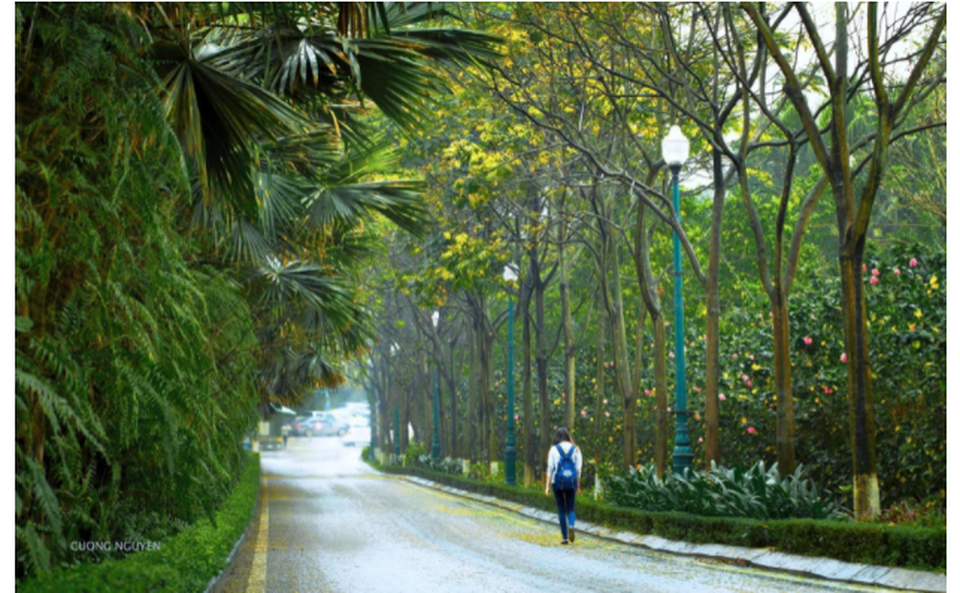 Ecopark Marathon 2021 - Ngắm cung đường chạy giữa thiên nhiên Ecopark Marathon 2021 - Ngắm cung đường chạy giữa thiên nhiên