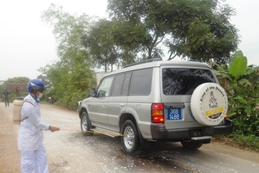 Thanh Hóa: Dịch lợn tai xanh bùng phát