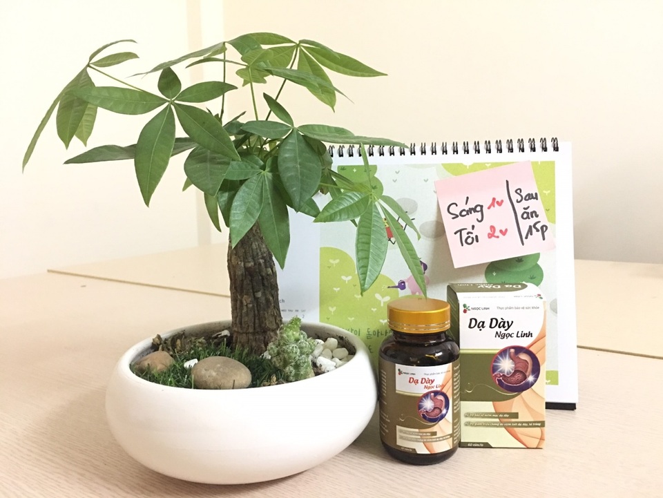 Thực phẩm bảo vệ sức khoẻ Dạ Dày Ngọc Linh có tốt không? - 1 Thực phẩm bảo vệ sức khoẻ Dạ Dày Ngọc Linh có tốt không? - 1