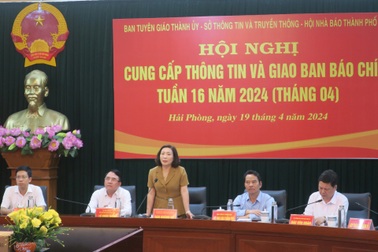 Hải Phòng tiết lộ kinh phí dự kiến cho Lễ hội Hoa Phượng Đỏ năm 2024
