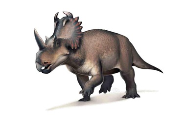 Khủng long từng mắc bệnh… ung thư từ 76 triệu năm trước