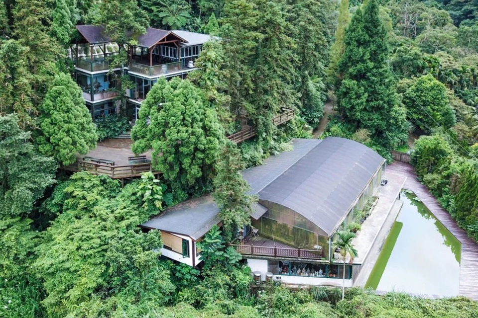 Người đàn ông mua quả đồi 12 nghìn m2 làm nhà để bảo vệ thiên nhiên - 2 Người đàn ông mua quả đồi 12 nghìn m2 làm nhà để bảo vệ thiên nhiên - 2