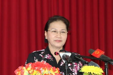 Chủ tịch Quốc hội trấn an cử tri việc “đánh thuế nhà trên 700 triệu”