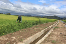 Khởi tố vụ án nâng khống khối lượng để nghiệm thu tại dự án thủy lợi