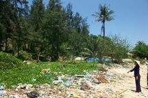 Mãnh thú xuất hiện ở vùng cửa biển Quảng Ngãi? 