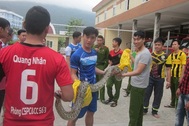 Trăn đất nặng 15kg nằm trước Phòng Cảnh sát PCCC