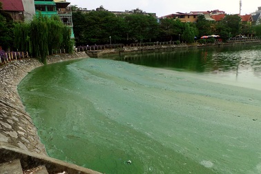 Hà Nội: Dân khốn khổ vì hồ Văn Quán bị “bức tử”