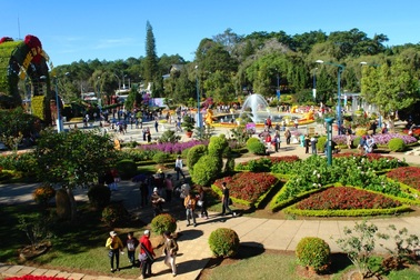 265.000 lượt khách đến Đà Lạt trong dịp Tết Nguyên đán Đinh Dậu