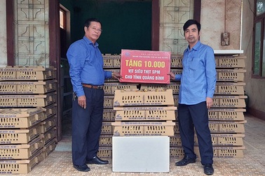 Hỗ trợ 1 vạn con vịt giống cho người dân vùng lũ