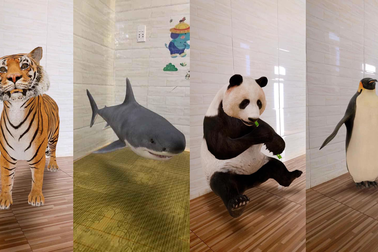 Thăm vườn bách thú 3D trong mùa dịch Covid-19 chỉ với Google Search