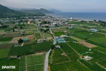 Gấp rút giải ngân 3.200 tỷ đồng để di dân làm dự án điện hạt nhân