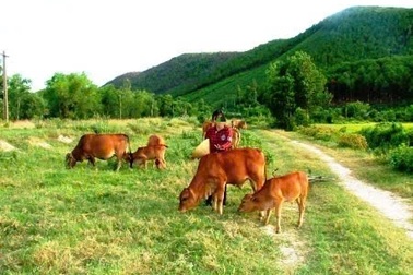 Bé gái 2 tuổi bị đá từ trên đồi rơi xuống đè tử vong