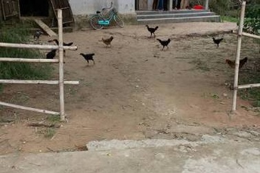 Nghi phạm thả bé gái 2,5 tháng tuổi xuống giếng làng là mẹ ruột