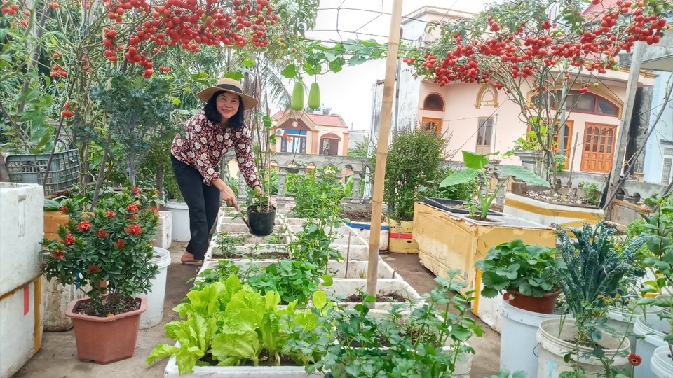 Quả trĩu cành, hoa bốn mùa trên sân thượng của người phụ nữ tại Hải Phòng - 2 Quả trĩu cành, hoa bốn mùa trên sân thượng của người phụ nữ tại Hải Phòng - 2
