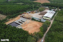 Phát hiện thêm nhiều sai phạm của nhà máy xả thải khiến cá chết hàng loạt