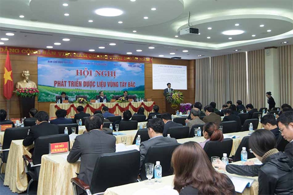 Phó TGĐ Nguyễn Thị Hương Liên của Sao Thái Dương chia sẻ triết lý kinh doanh bền vững - 2 Phó TGĐ Nguyễn Thị Hương Liên của Sao Thái Dương chia sẻ triết lý kinh doanh bền vững - 2