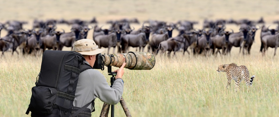 Các nhà làm phim giữ an toàn thế nào khi ghi hình động vật hoang dã? (P2) - 2