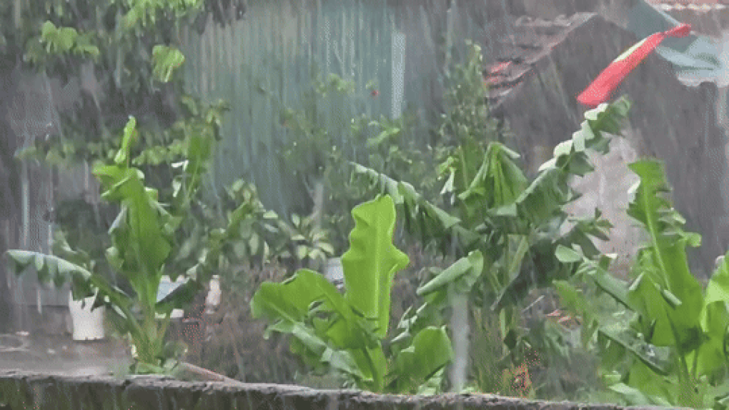 Diễn biến cơn bão Nongfa ở miền Trung chiều 30/8 - 1 Diễn biến cơn bão Nongfa ở miền Trung chiều 30/8 - 1