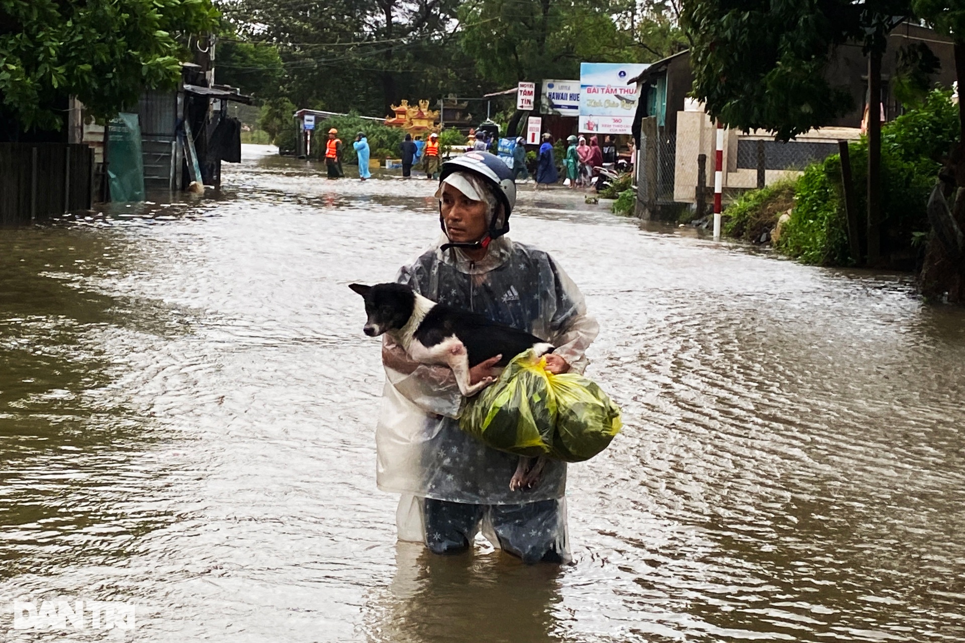 Nước biển tràn bờ gây ngập, người dân Huế ôm thú cưng hối hả chạy lũ - 6