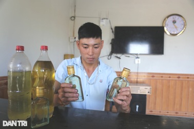 Từ cây mọc hoang dại, thanh niên khuyết tật chế ra tinh dầu, thu tiền triệu