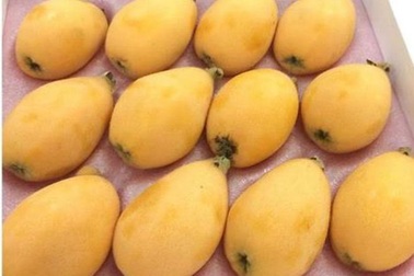 Biwa - nhót Nhật 400 ngàn đồng, bán 4 triệu đồng/kg: Sướng mồm, hớ nặng